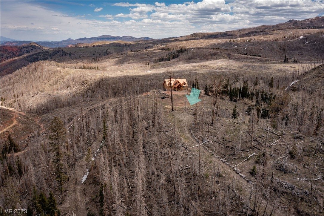 270 West Bobcat Road Brian Head, UT 84719 - Photo 3 of 31