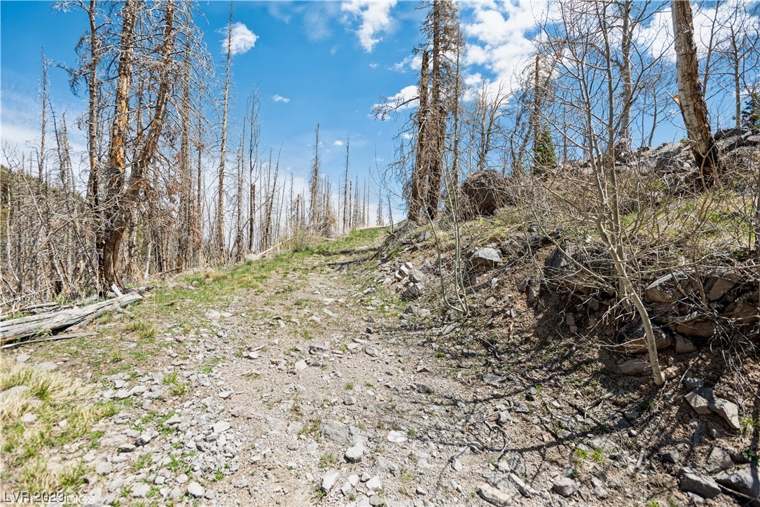 270 West Bobcat Road Brian Head, UT 84719 - Photo 5 of 31 Driveway to property