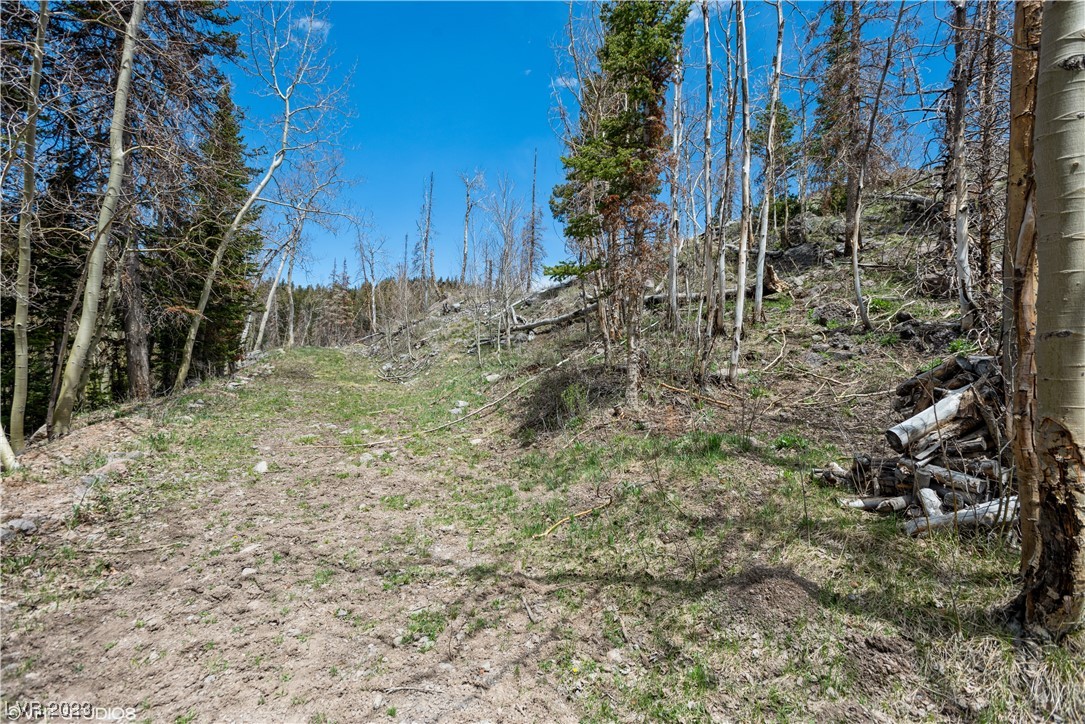 270 West Bobcat Road Brian Head, UT 84719 - Photo 6 of 31 Driveway to property