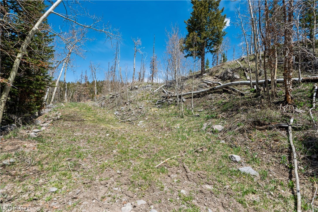 270 West Bobcat Road Brian Head, UT 84719 - Photo 7 of 31 Driveway to property