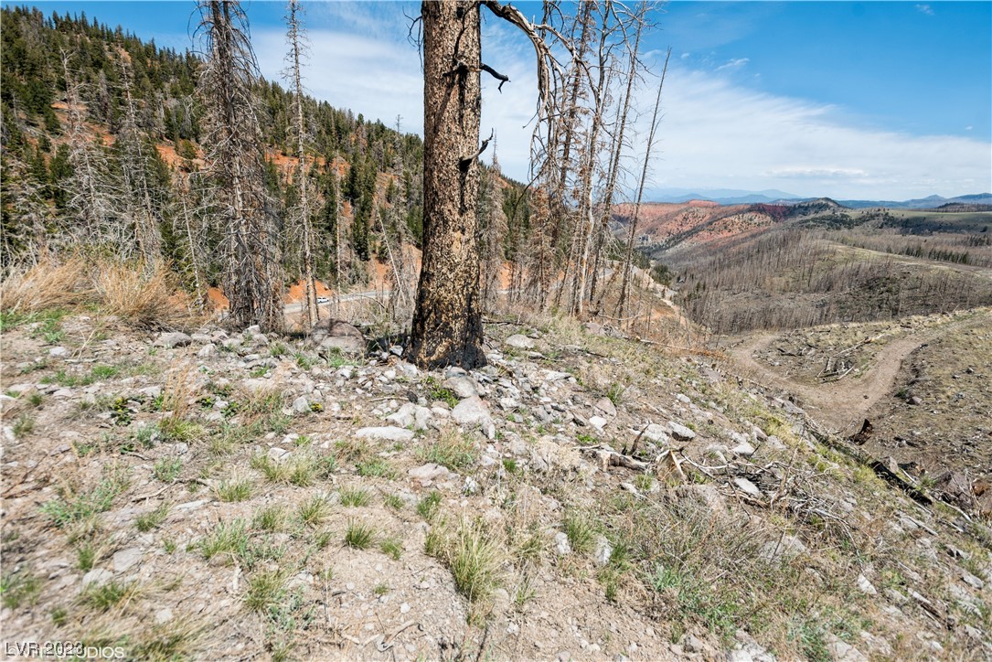 270 West Bobcat Road Brian Head, UT 84719 - Photo 8 of 31