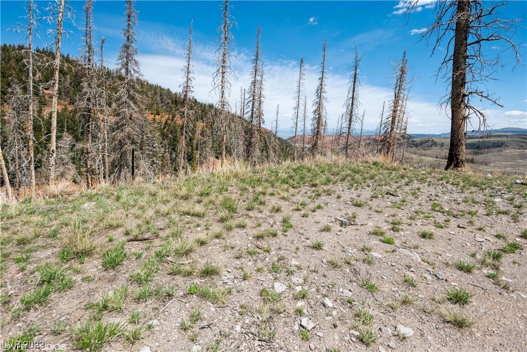 270 West Bobcat Road Brian Head, UT 84719 - Photo 10 of 31