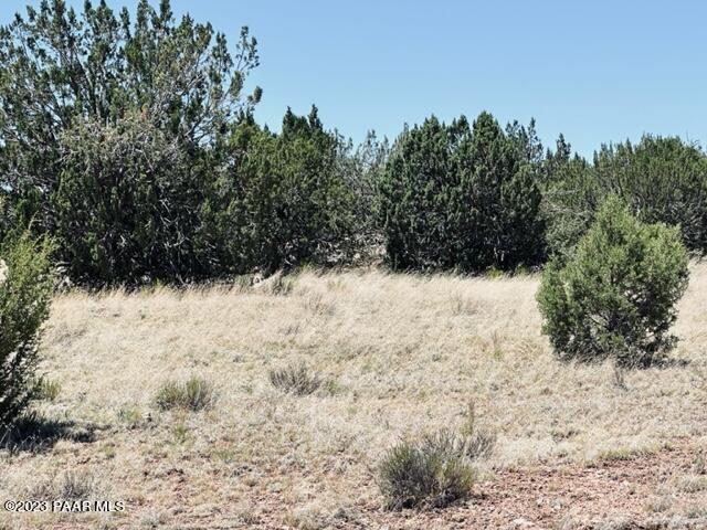 388 Rocky Top Road Seligman, AZ 86337 - Photo 1 of 23 IMG_5524
