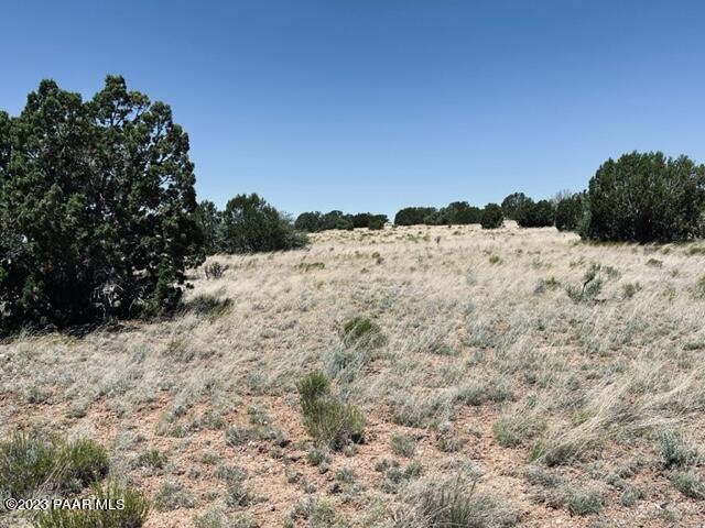 388 Rocky Top Road Seligman, AZ 86337 - Photo 11 of 23 IMG_5517