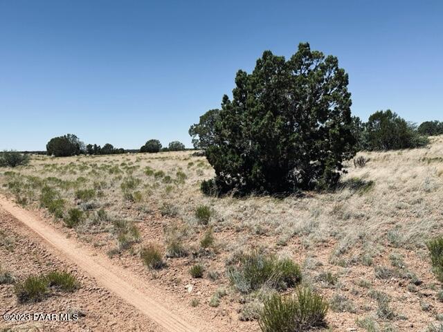 388 Rocky Top Road Seligman, AZ 86337 - Photo 12 of 23 IMG_5518