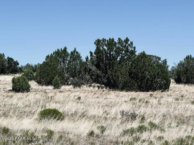 388 Rocky Top Road Seligman, AZ 86337 - Photo 13 of 23 IMG_5519