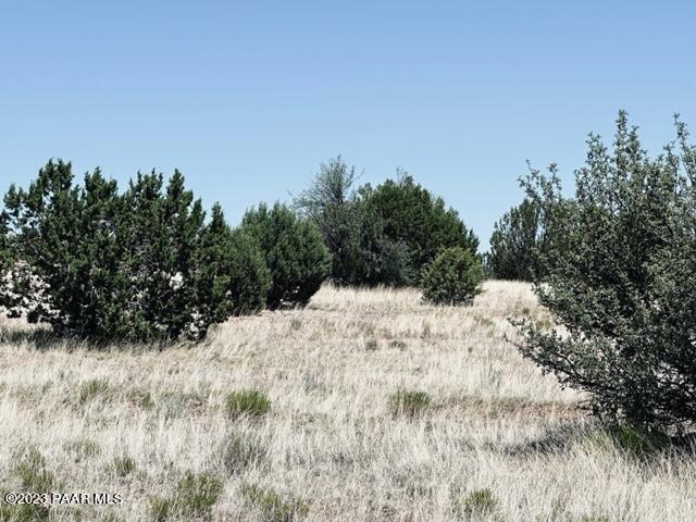 388 Rocky Top Road Seligman, AZ 86337 - Photo 14 of 23 IMG_5520