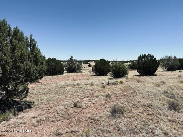 388 Rocky Top Road Seligman, AZ 86337 - Photo 15 of 23 IMG_5521