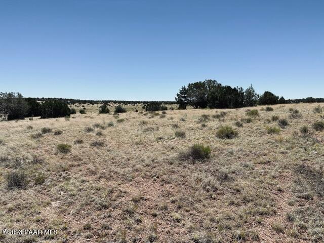 388 Rocky Top Road Seligman, AZ 86337 - Photo 16 of 23 IMG_5522