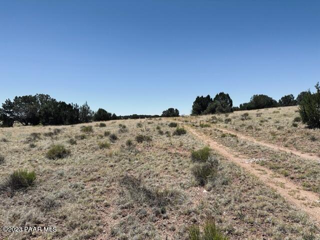 388 Rocky Top Road Seligman, AZ 86337 - Photo 17 of 23 IMG_5523