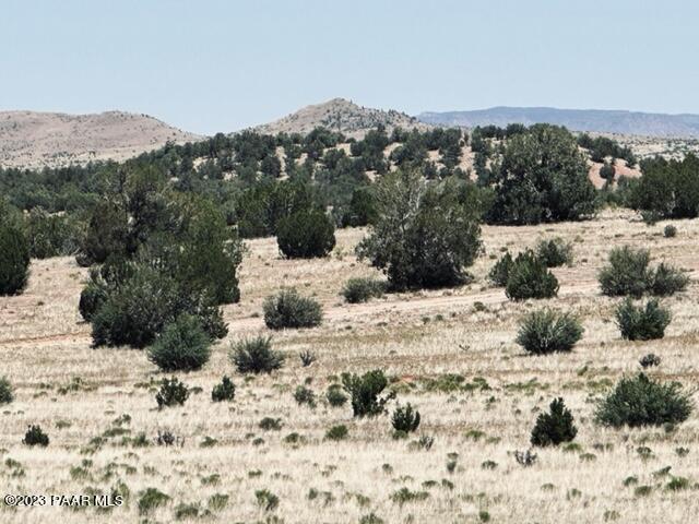 388 Rocky Top Road Seligman, AZ 86337 - Photo 18 of 23 IMG_5525