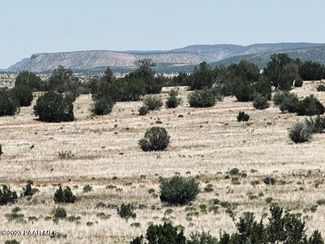 388 Rocky Top Road Seligman, AZ 86337 - Photo 19 of 23 IMG_5526