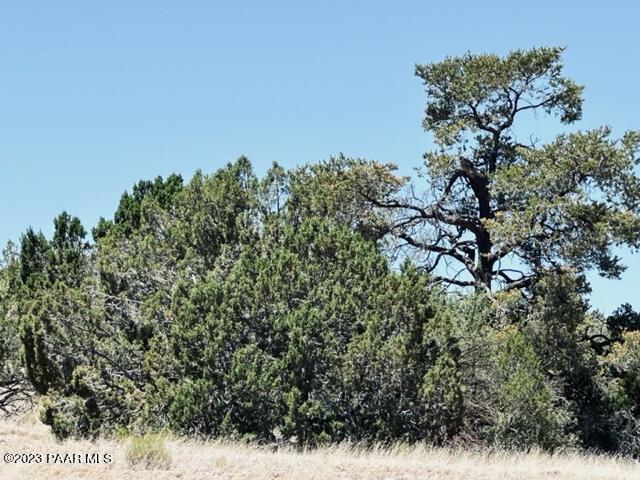 388 Rocky Top Road Seligman, AZ 86337 - Photo 20 of 23 IMG_5527