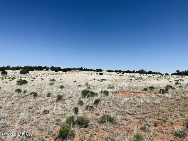 388 Rocky Top Road Seligman, AZ 86337 - Photo 6 of 23 IMG_5512