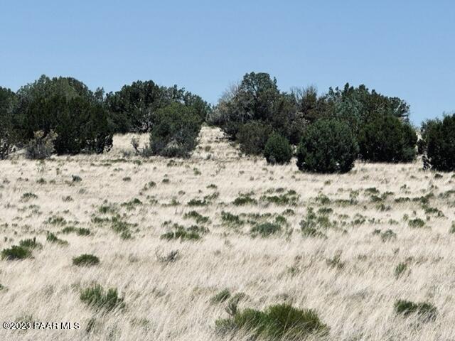 388 Rocky Top Road Seligman, AZ 86337 - Photo 7 of 23 IMG_5513