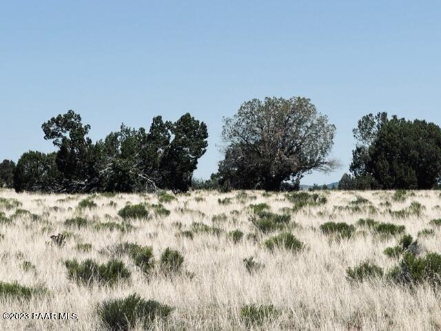 388 Rocky Top Road Seligman, AZ 86337 - Photo 8 of 23 IMG_5514