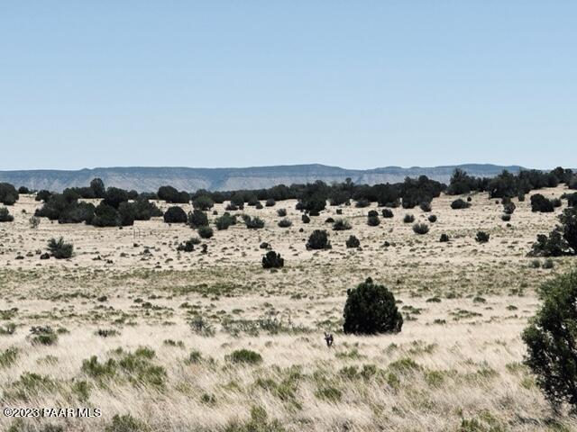 388 Rocky Top Road Seligman, AZ 86337 - Photo 9 of 23 IMG_5515