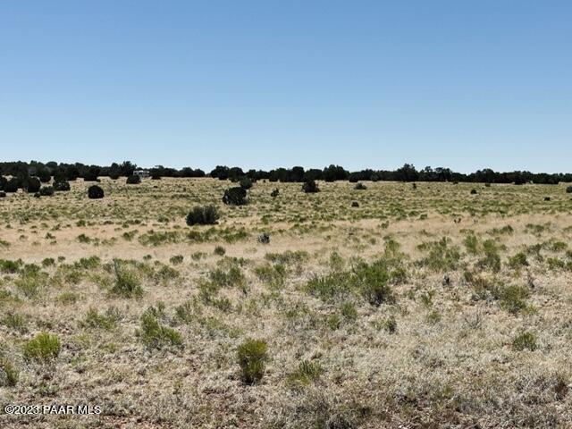 388 Rocky Top Road Seligman, AZ 86337 - Photo 10 of 23 IMG_5516