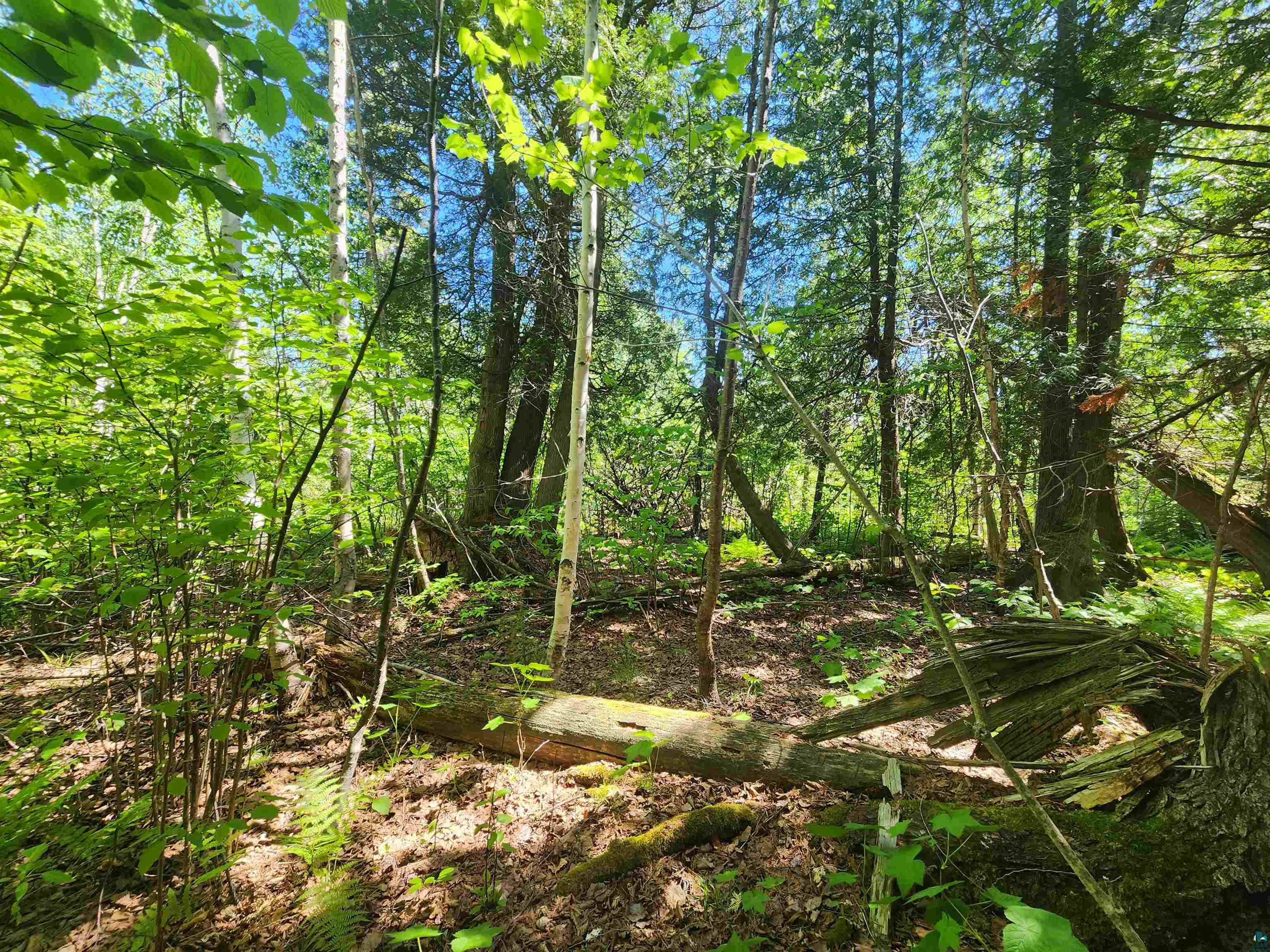 15 X Ski Hill Road Lutsen, MN 55612 - Photo 14 of 16