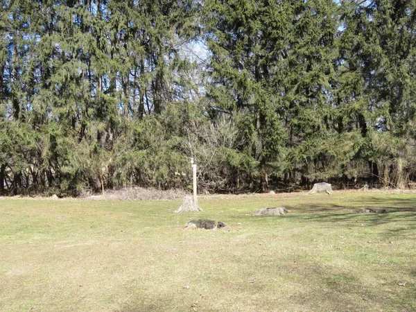 $699,000 | N8582 Pine Road, Beaver Dam, WI 53916