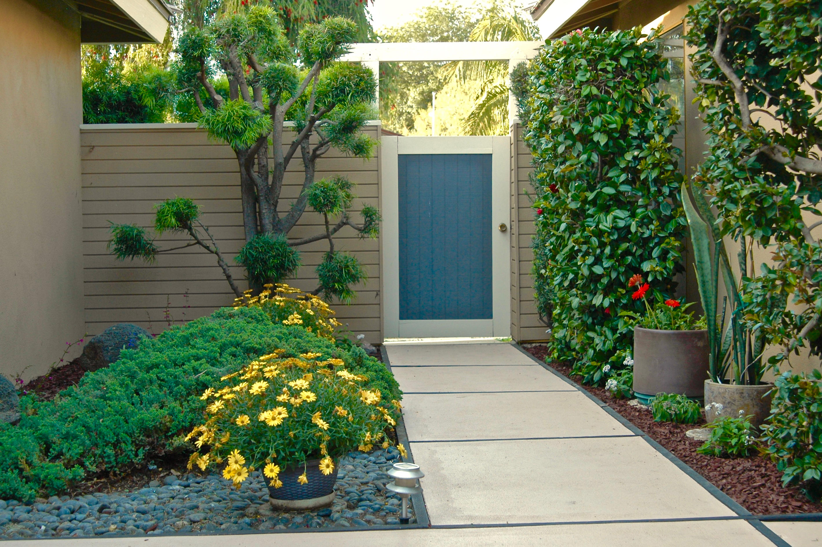 5441 Berkeley Road Santa Barbara, CA 93111 - Photo 4 of 23 DSC_2836