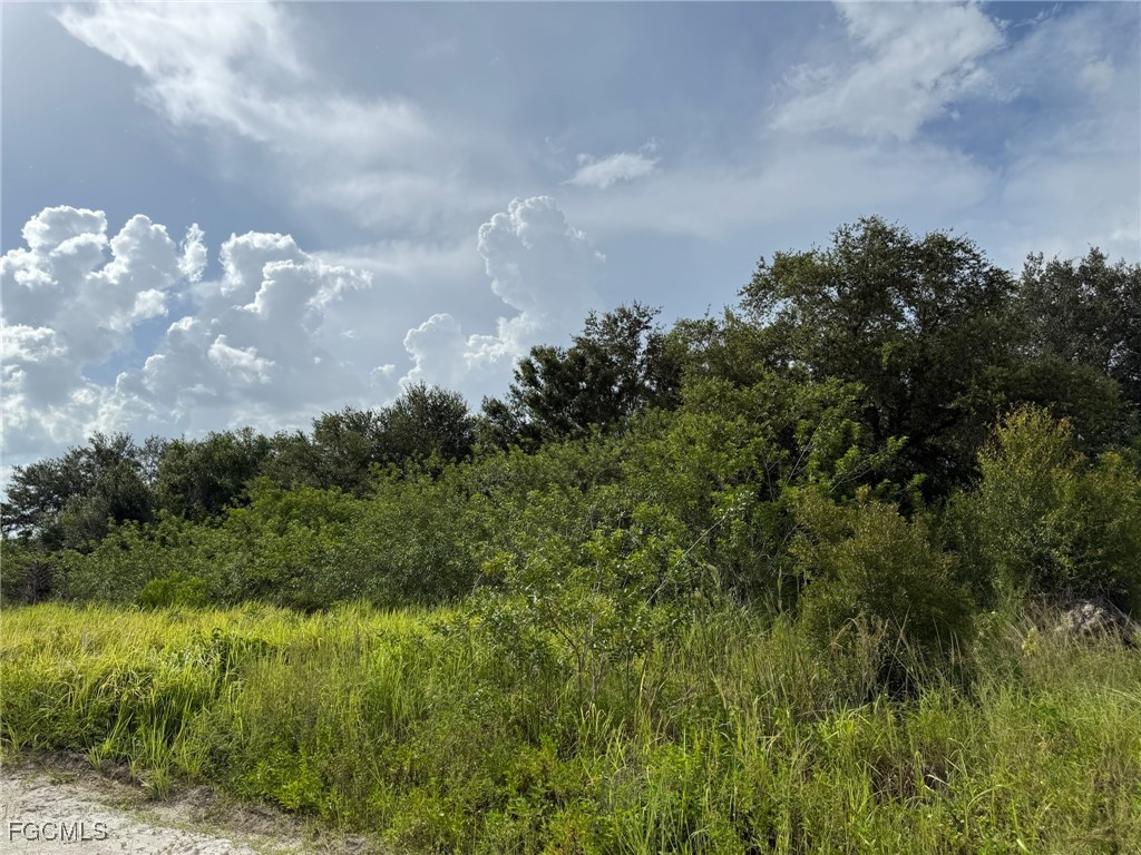 4994 2nd Road LaBelle, FL 33935 - Photo 5 of 6 Gallery Image 5