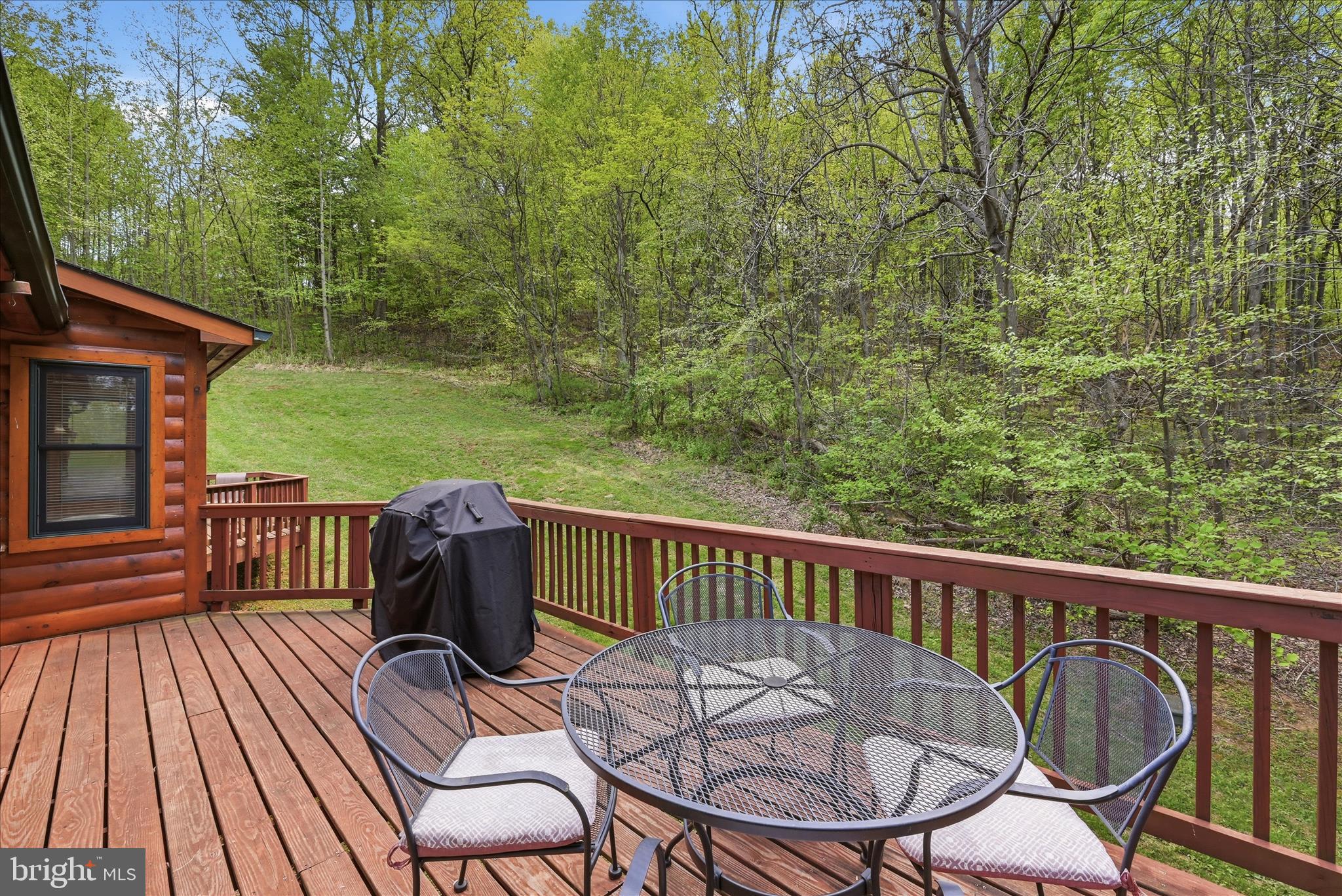 938 Fetchett Road Bentonville, VA 22610 - Photo 47 of 69 Deck View