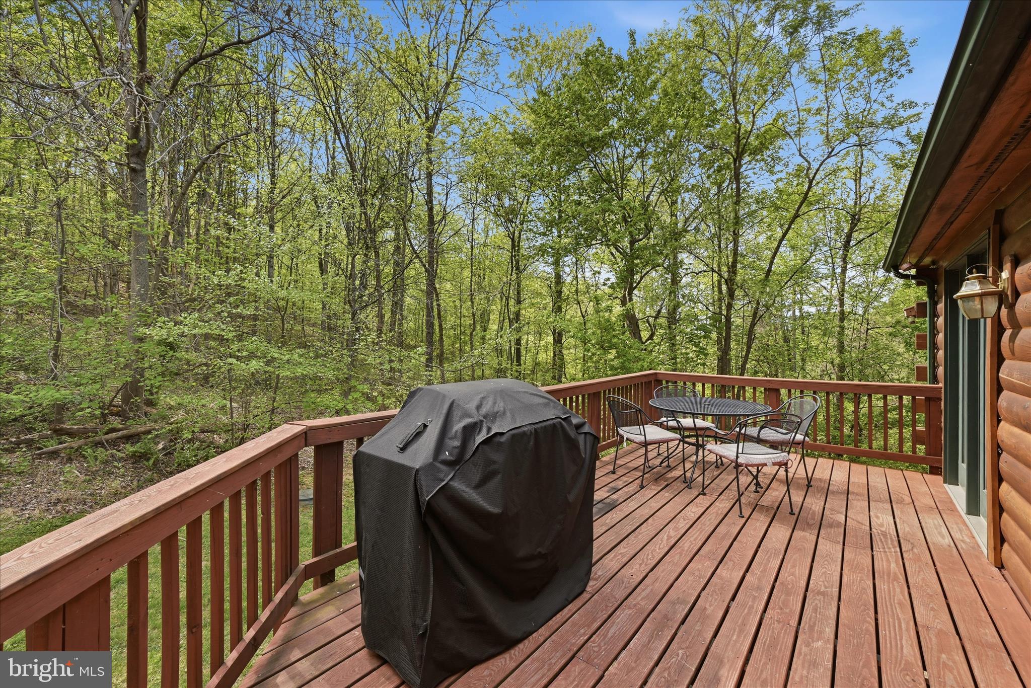 938 Fetchett Road Bentonville, VA 22610 - Photo 48 of 69 Deck View
