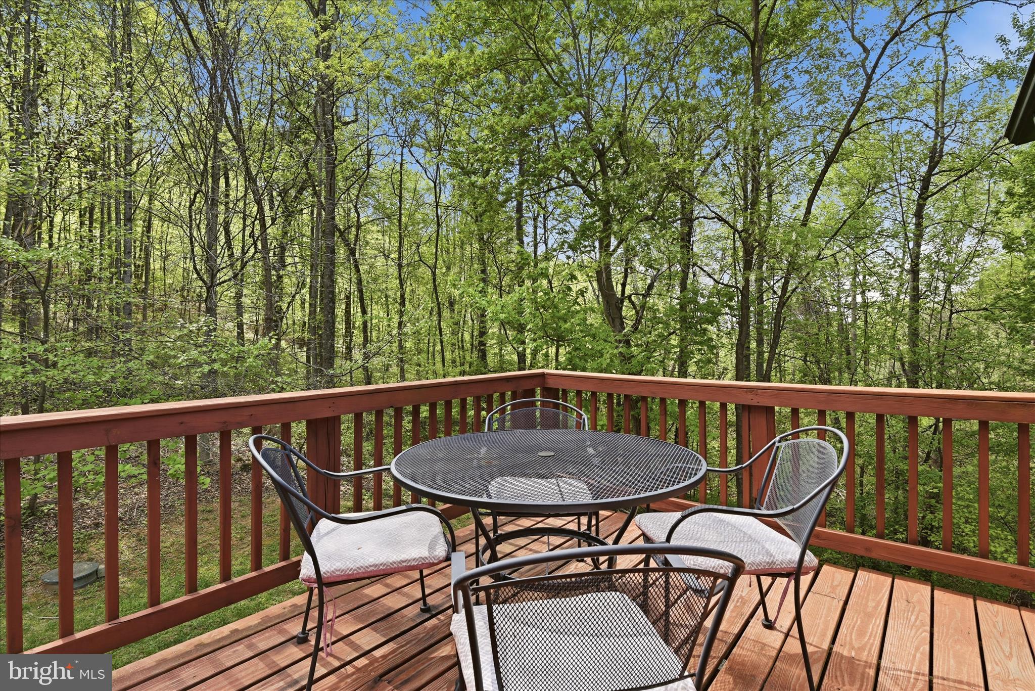 938 Fetchett Road Bentonville, VA 22610 - Photo 49 of 69 Deck View