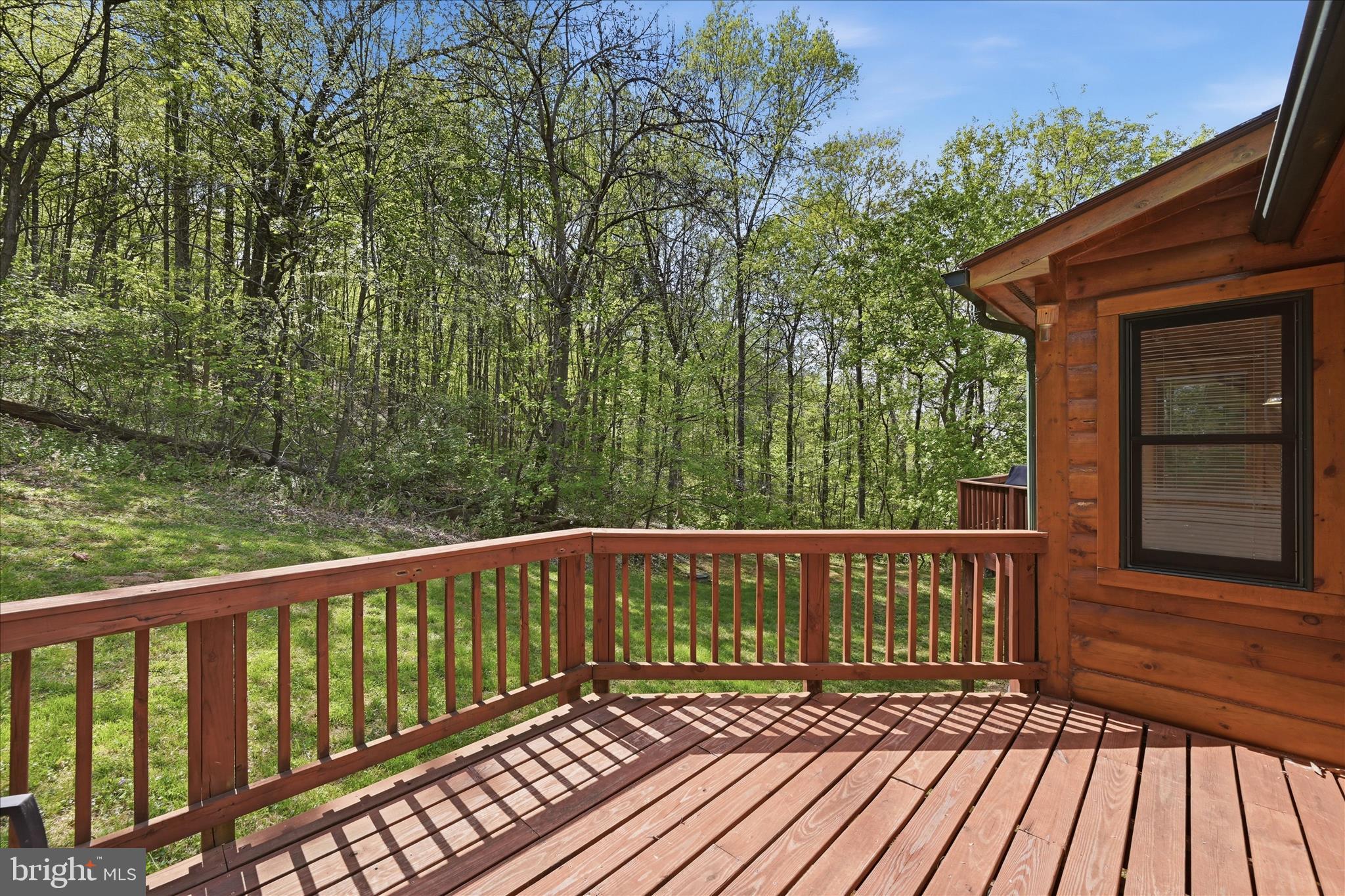 938 Fetchett Road Bentonville, VA 22610 - Photo 50 of 69 Deck View