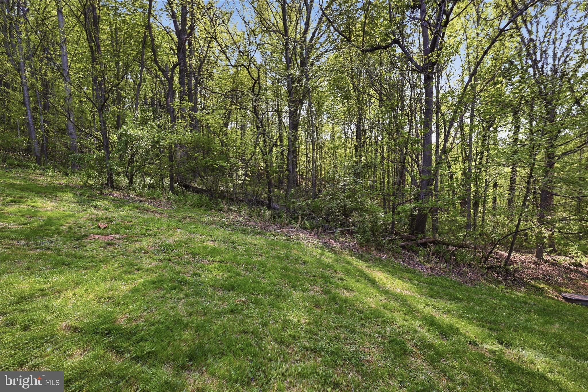 938 Fetchett Road Bentonville, VA 22610 - Photo 53 of 69 Backyard backs to trees