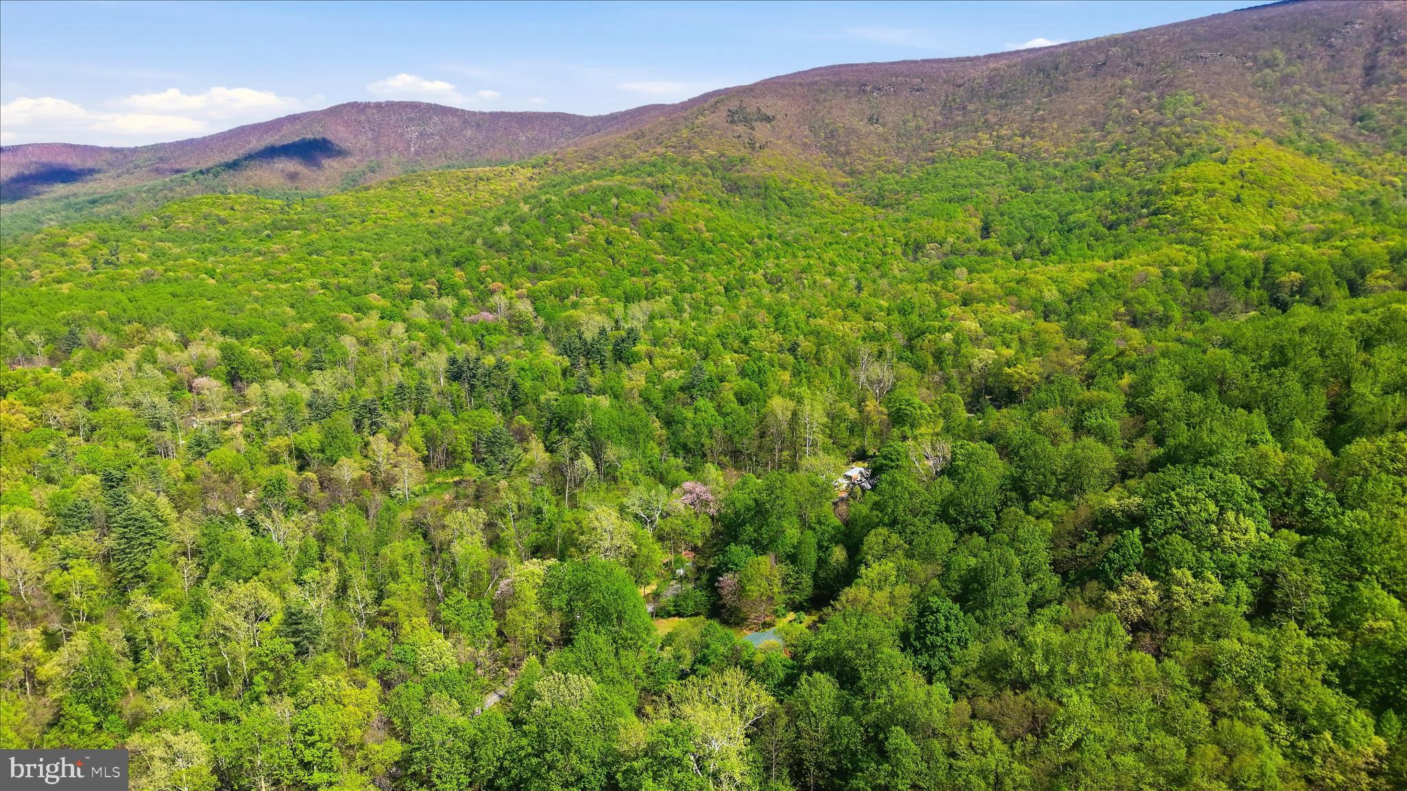 938 Fetchett Road Bentonville, VA 22610 - Photo 66 of 69 Aerial View