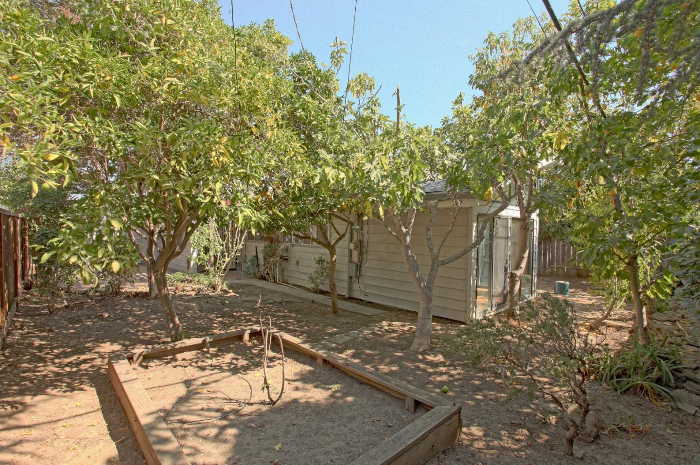 19100 Meiggs Lane Cupertino, CA 95014 - Photo 20 of 21 a view of a yard with plants and trees