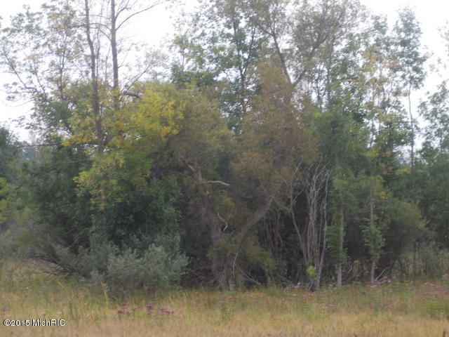 40-acres Gilbert Road Arcadia, MI 49613 - Photo 7 of 15 DSCN0173