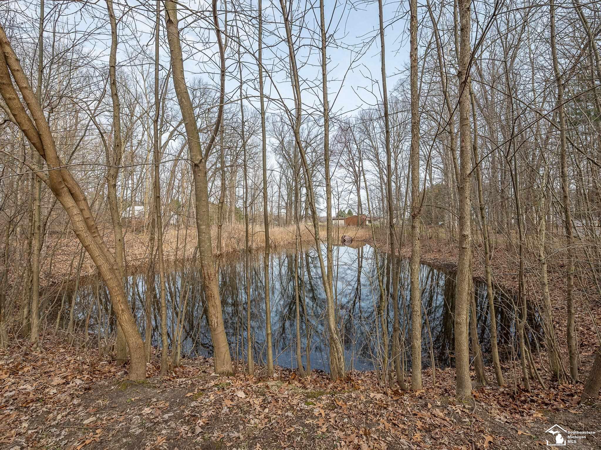 20599 Ida Center Road Petersburg, MI 49270 - Photo 37 of 51
