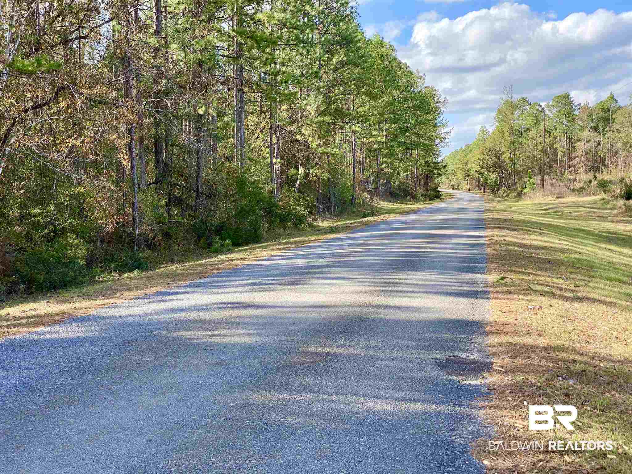 0 County Road 19 Chatom, AL 36518 - Photo 1 of 18