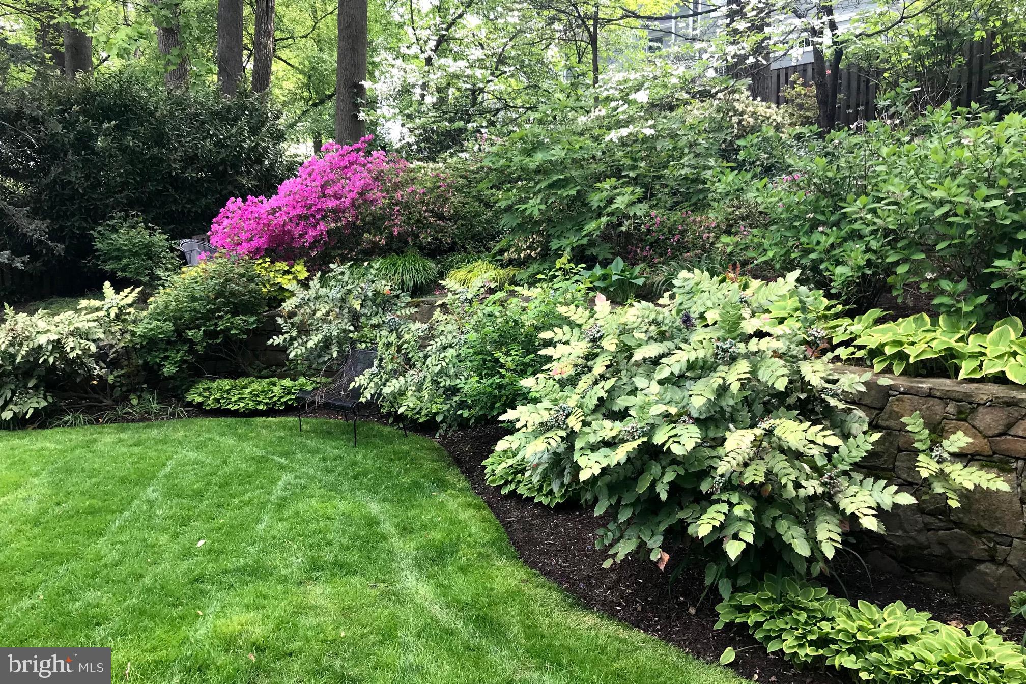 8213 Kerry Road Chevy Chase, MD 20815 - Photo 44 of 44 Rear garden with stone retaining wall