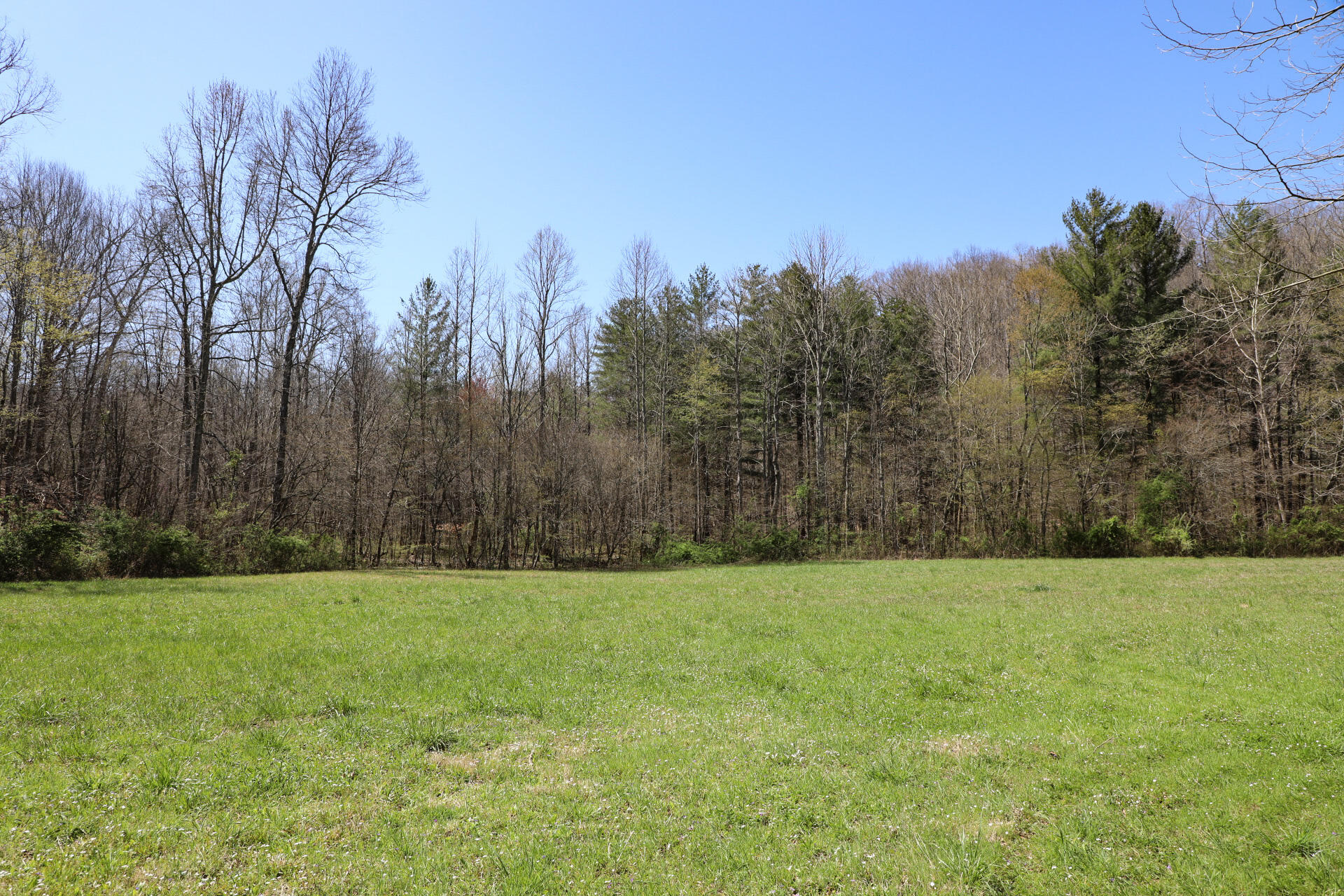 553 Oscar Morgan Road Strunk, KY 42649 - Photo 46 of 53 44