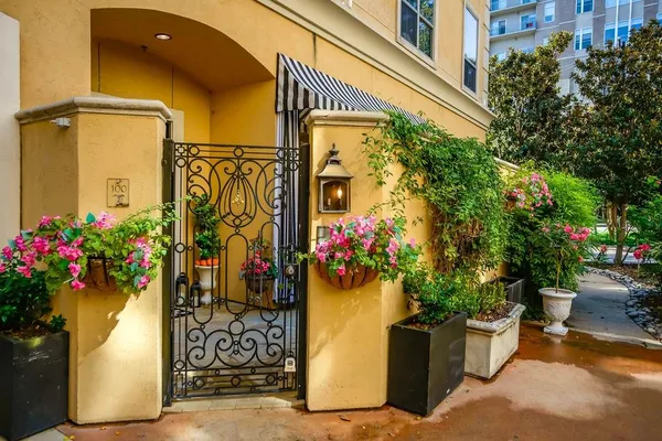 a view of a bunch of flowers