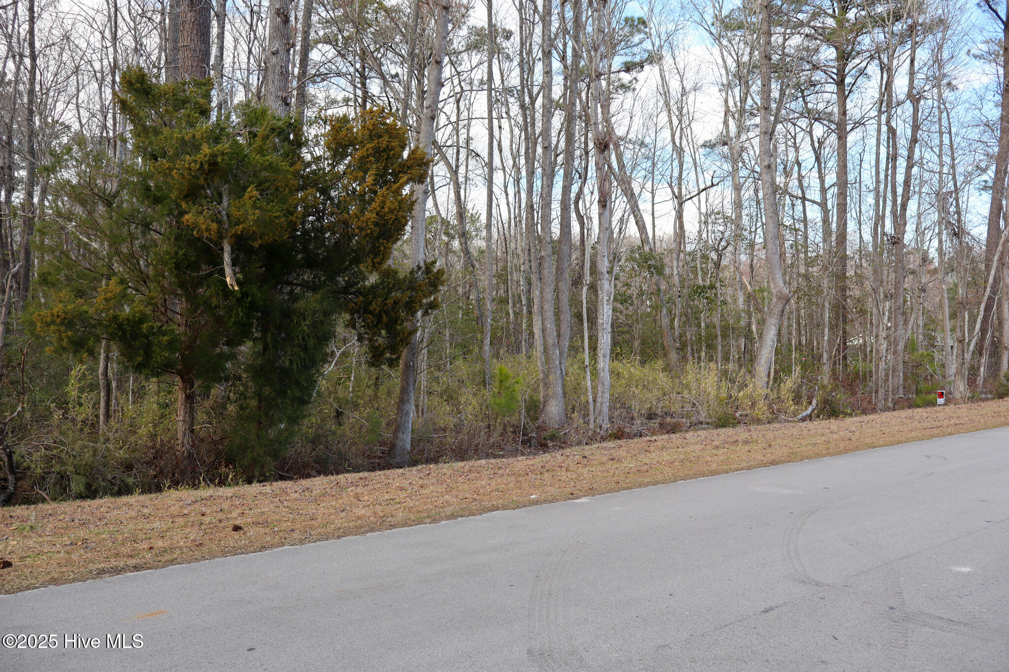 165 Dragstrip Road New Bern, NC 28560 - Photo 8 of 15 8