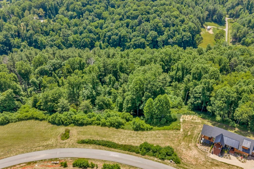 Lot 30 Eagle Rdg Parkway Butler, TN 37640 - Photo 8 of 26