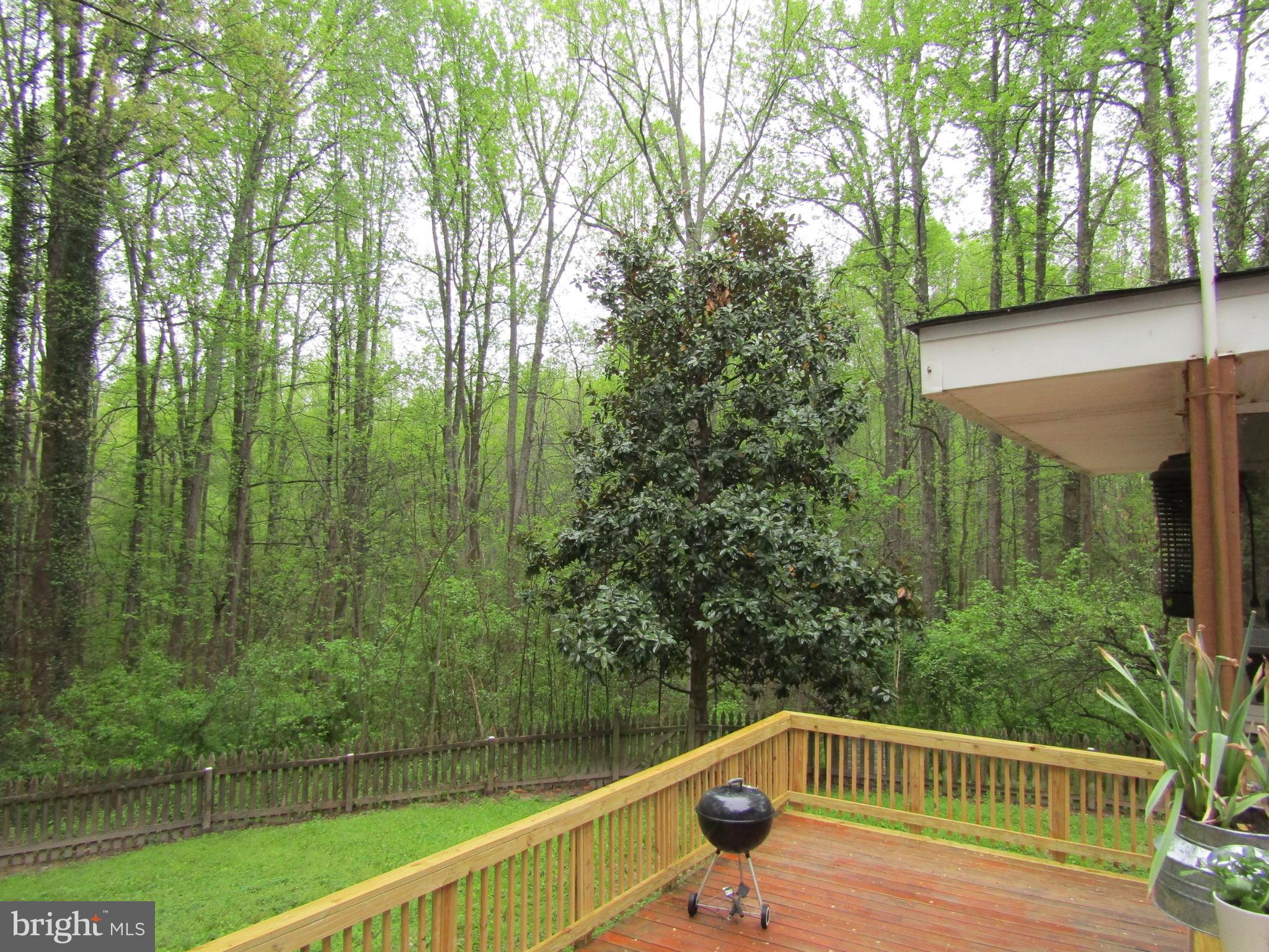 280 Sandy Ridge Road Fredericksburg, VA 22405 - Photo 75 of 81 Gallery Image 75