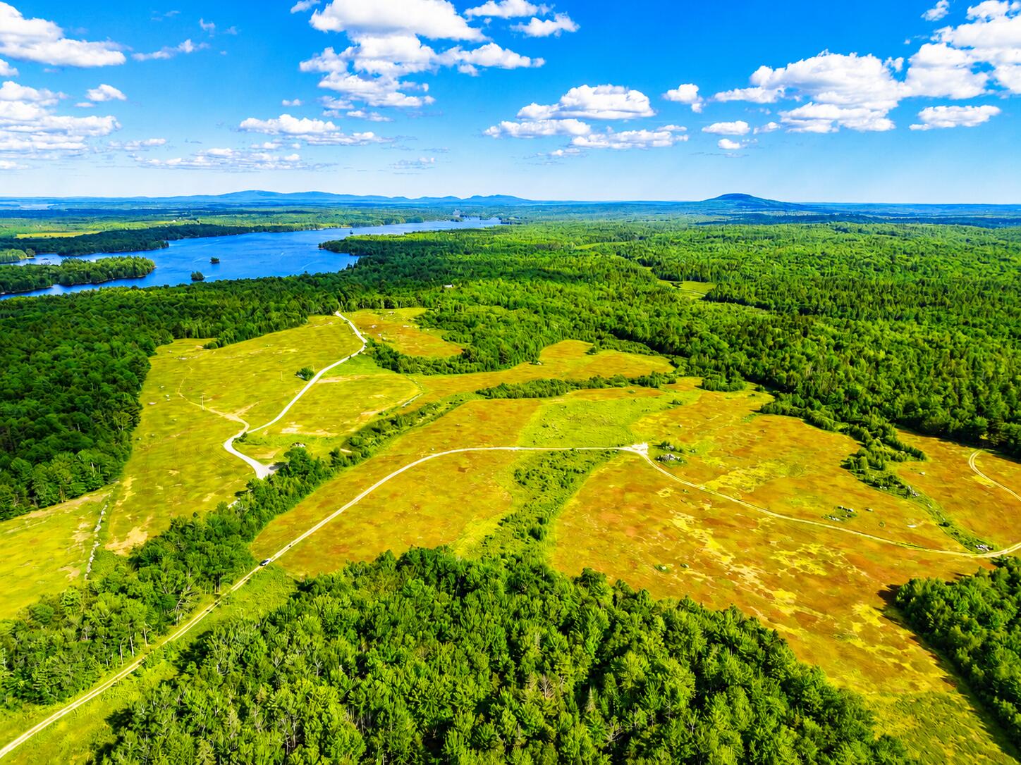 Map19-lot28 Leach Road Penobscot, ME 04476 - Photo 12 of 16 MAP19LOT28 Leach Road