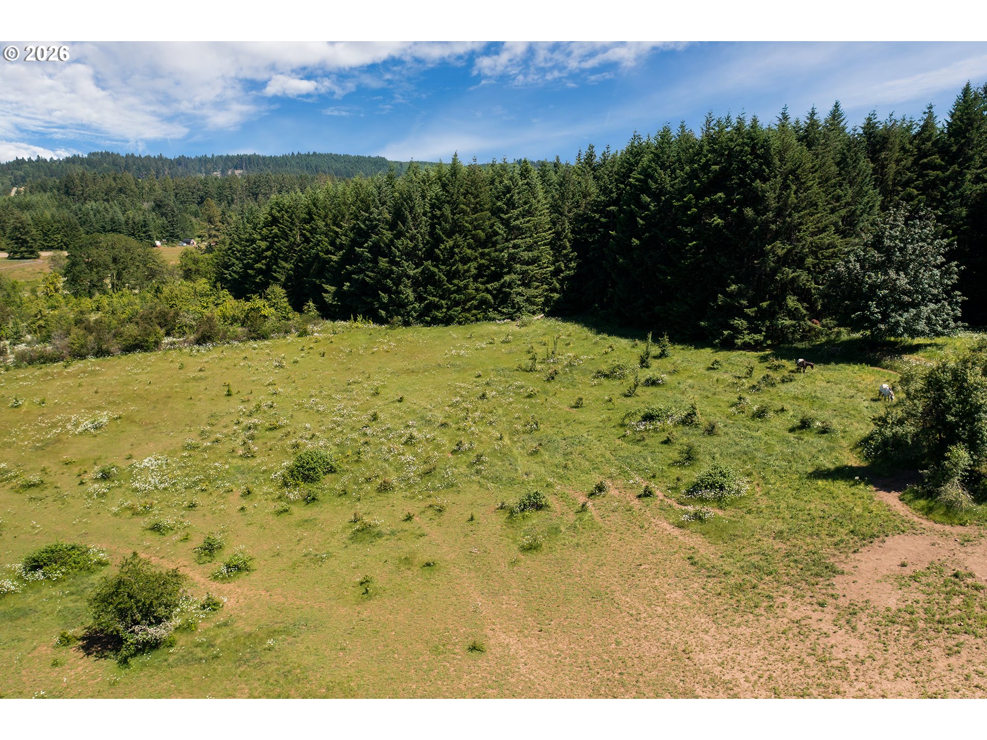 87161 Central Road Eugene, OR 97402 - Photo 11 of 39