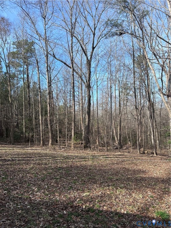 8106 Claystreet Road Ford, VA 23850 - Photo 5 of 12