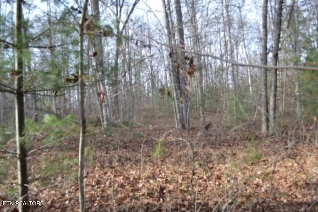 $118,733 | Lot 4 Shotgun Annie Road, Jamestown, TN 38556