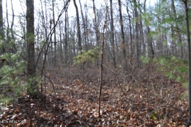 Lot 4 Shotgun Annie Road Jamestown, TN 38556 - Photo 14 of 59 DSC_0015