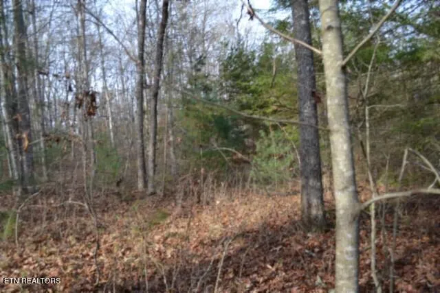 $118,733 | Lot 4 Shotgun Annie Road, Jamestown, TN 38556