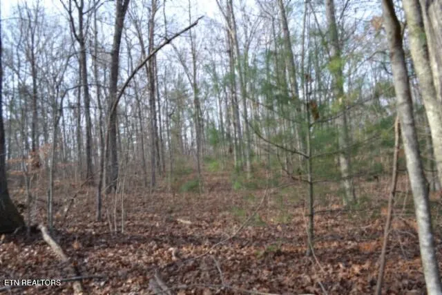 $118,733 | Lot 4 Shotgun Annie Road, Jamestown, TN 38556
