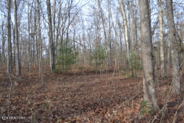 Lot 4 Shotgun Annie Road Jamestown, TN 38556 - Photo 17 of 59 DSC_0018